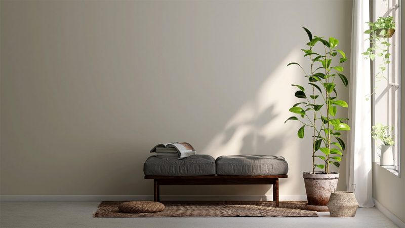 Η αξία της σκιάς